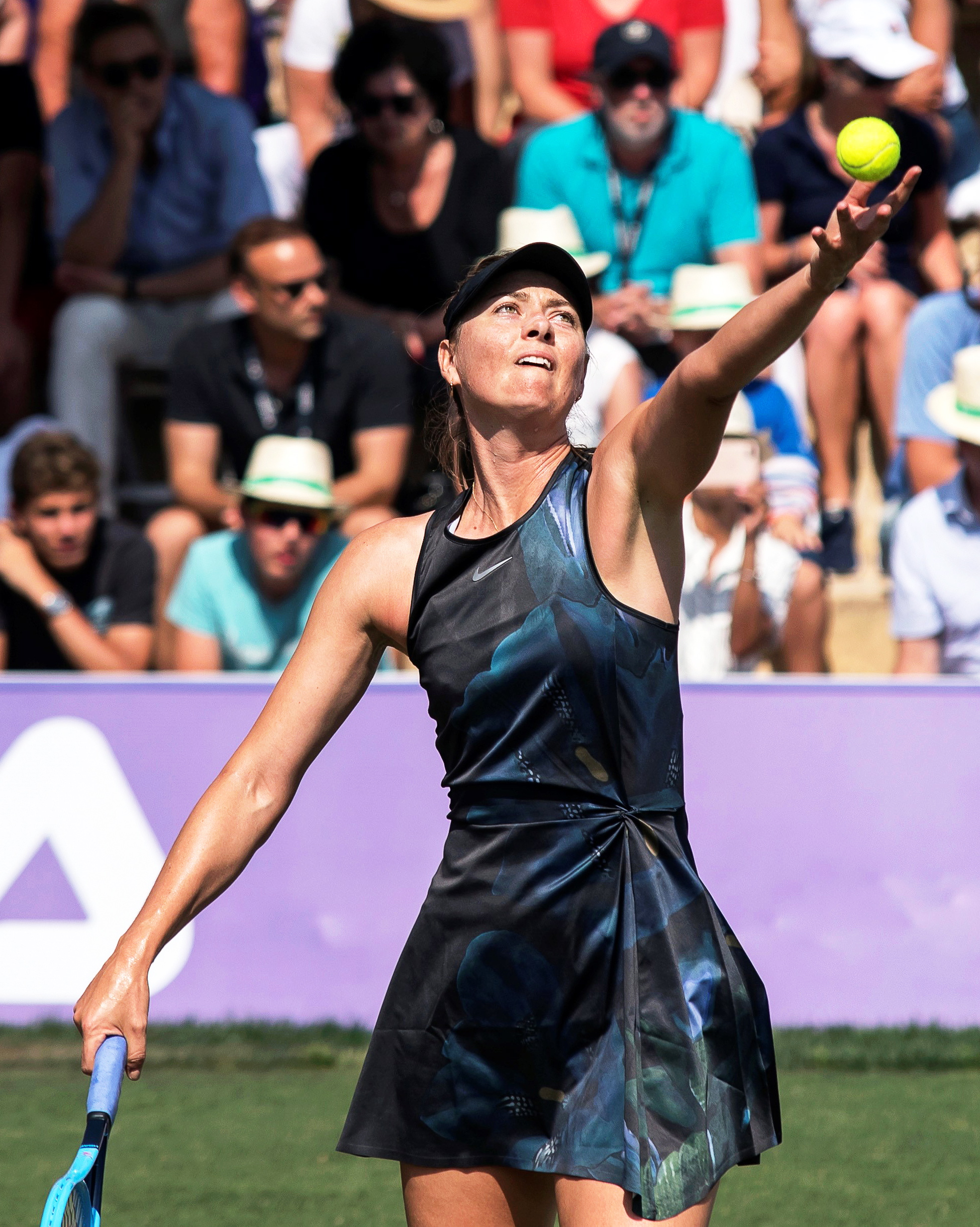 星空体育-关于莎拉波娃重返赛场，重返赛场首场状态出色，西班牙队观众沸腾！比赛高潮迭起的信息